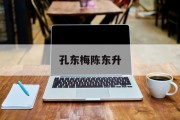 关于孔东梅陈东升的信息