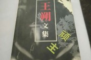 天津顽主朝哥来头 天津顽主