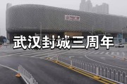 武汉什么时候封城几月几日 武汉什么时候封城