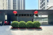 武汉保利文化广场的历史渊源与发展历程与成就 武汉保利文化广场