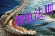 鳄鱼法则管理学意义 鳄鱼法则