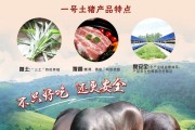 一号土猪是什么猪种 一号土猪