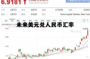 未来美元兑人民币汇率1比20 未来美元兑人民币汇率