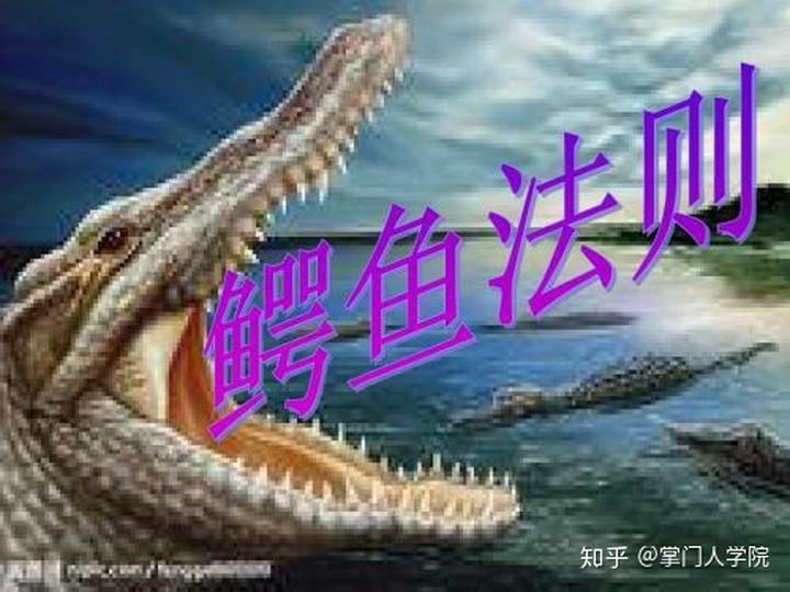 鳄鱼法则管理学意义 鳄鱼法则