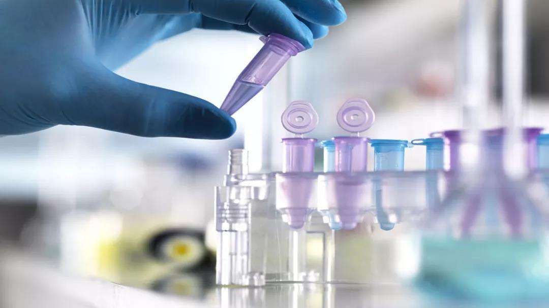 我武生物股票行情 我武生物发行价