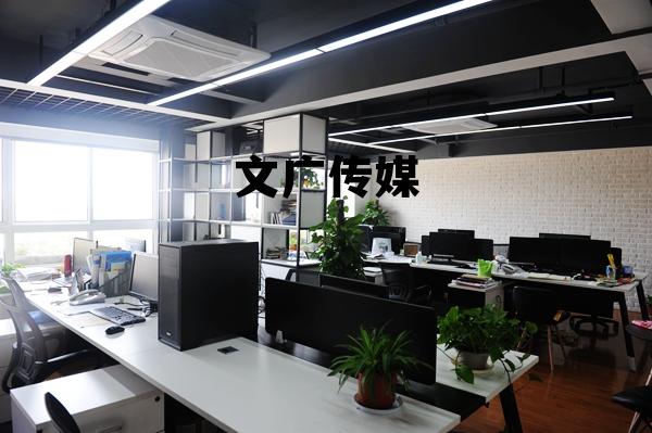 文广传媒集团董事长 文广传媒 文广传媒集团董事长 文广传媒