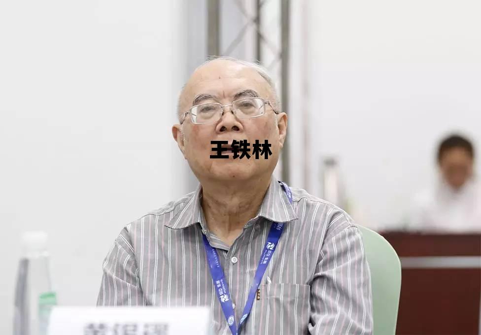 王铁林个人资料简介 王铁林 王铁林个人资料简介 王铁林