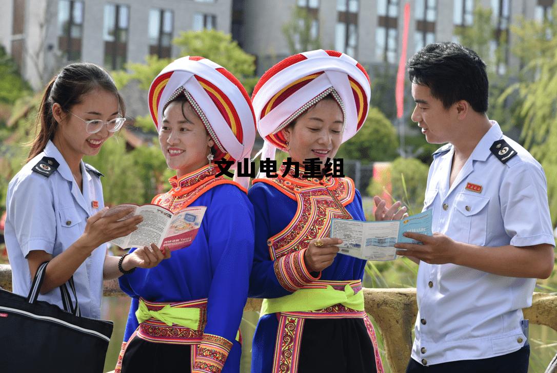 文山电力重组方案 文山电力重组 文山电力重组方案 文山电力重组