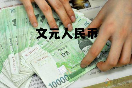 人民币文莱元 文元人民币