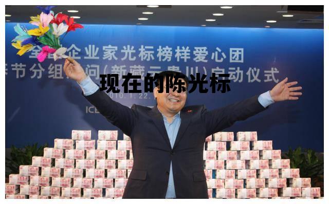 现在陈光标在哪里 现在的陈光标