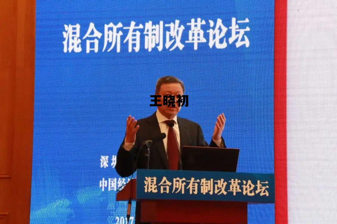 王晓初沈阳大学 王晓初