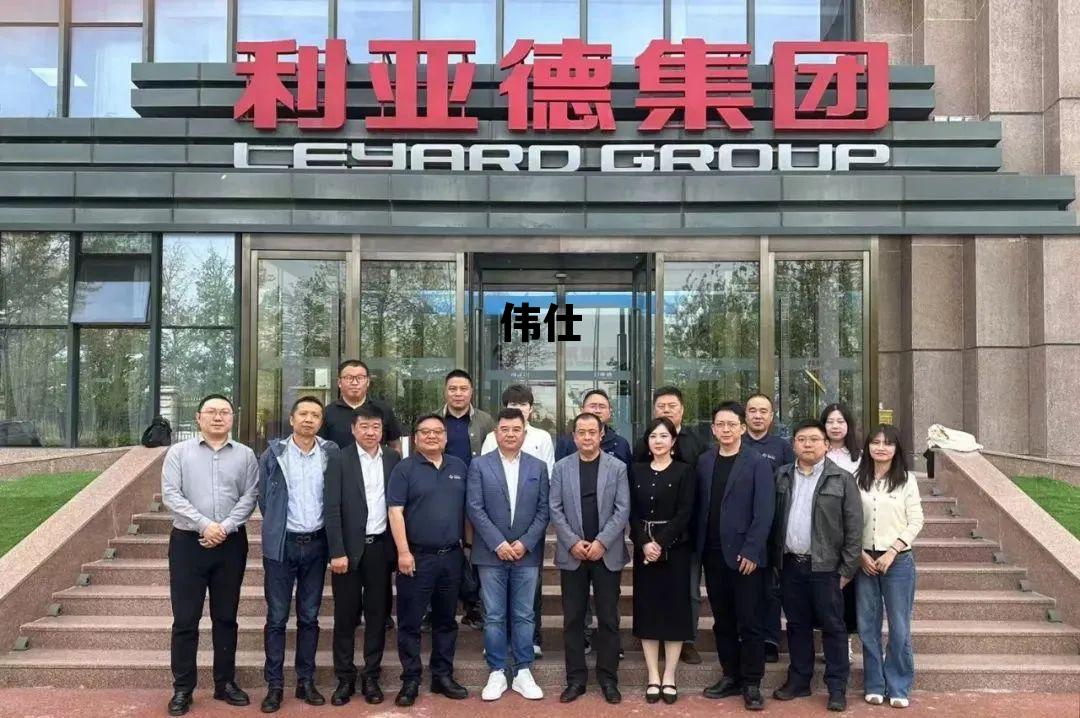 伟仕佳杰到底是干嘛的 伟仕