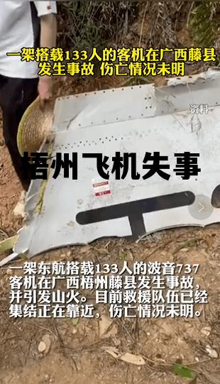 梧州飞机失事原因查清楚了吗 梧州飞机失事